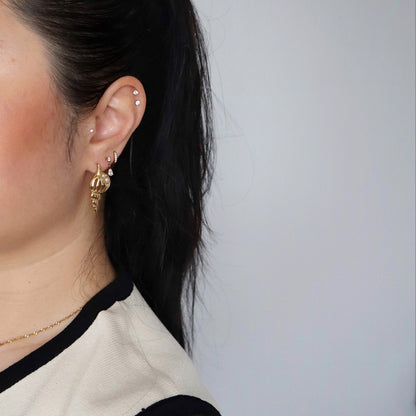 Pearl Conch Shell Earrings